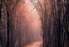 爱游戏亚洲官网-奥格斯堡客场连败，拜仁慕尼黑击败对手继续领跑德甲联赛，奥格斯堡对拜仁直播