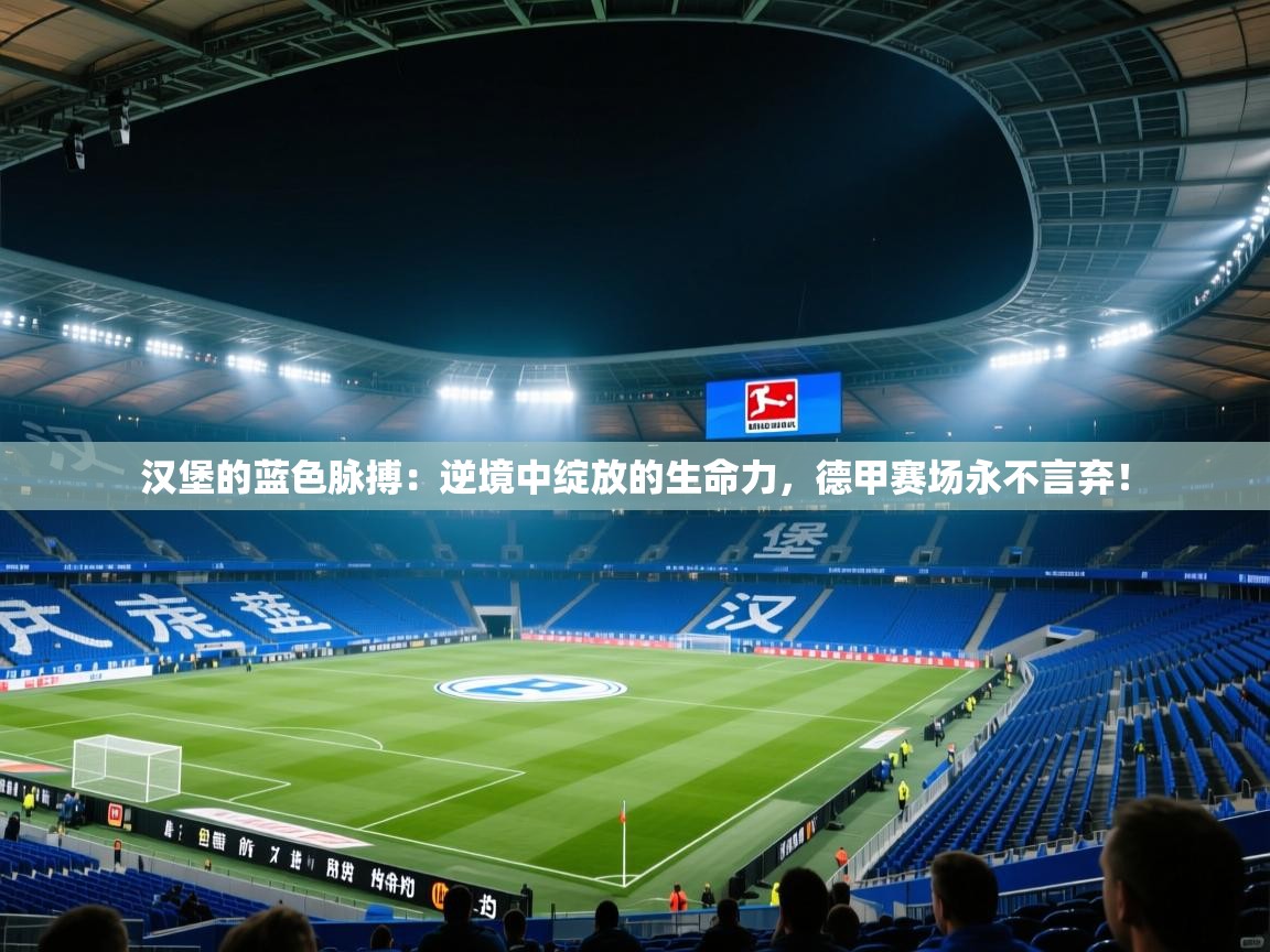 汉堡的蓝色脉搏：逆境中绽放的生命力，德甲赛场永不言弃！  第2张