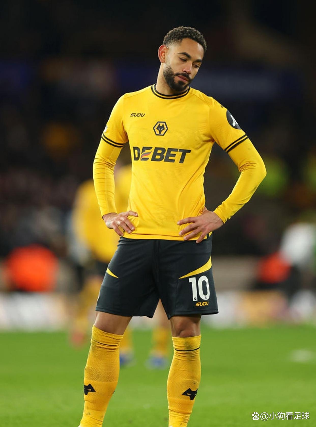 关于狼队传来坏消息，主力中场因伤缺席多场比赛的信息